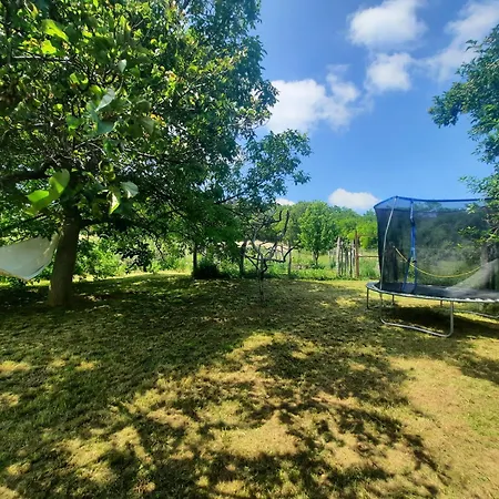 Tanczos Pince Vendeghaz