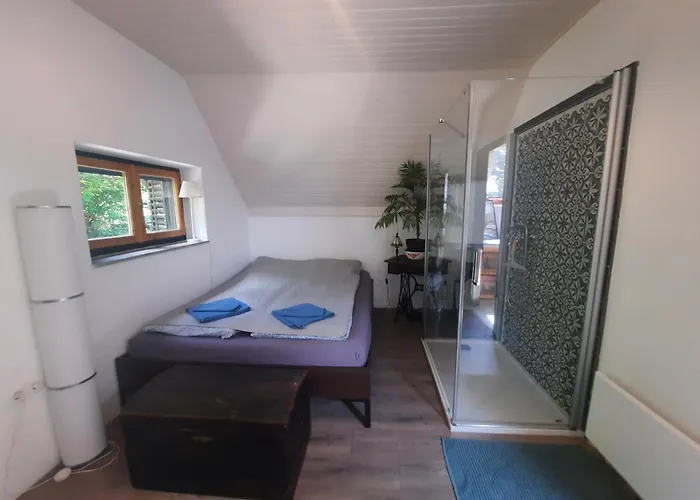 Tanczos Pince Vendeghaz Zánka