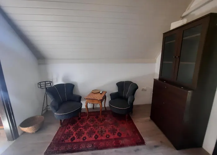 公寓 Tanczos Pince Vendeghaz