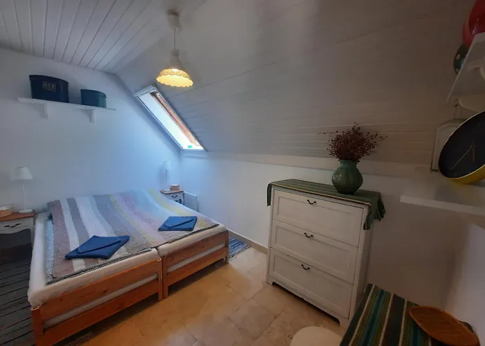 公寓 Tanczos Pince Vendeghaz