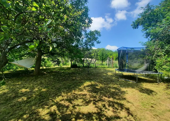 Tanczos Pince Vendeghaz